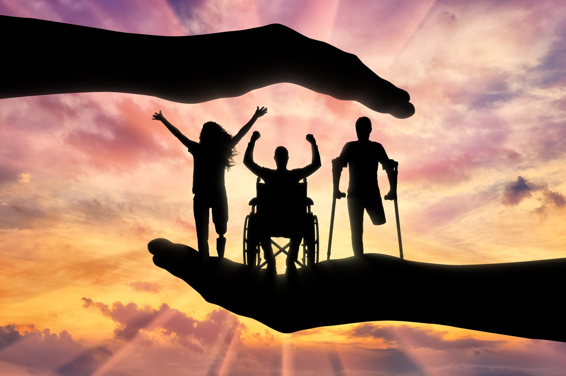 The concept of assistance and protection of the rights of persons with disabilities
